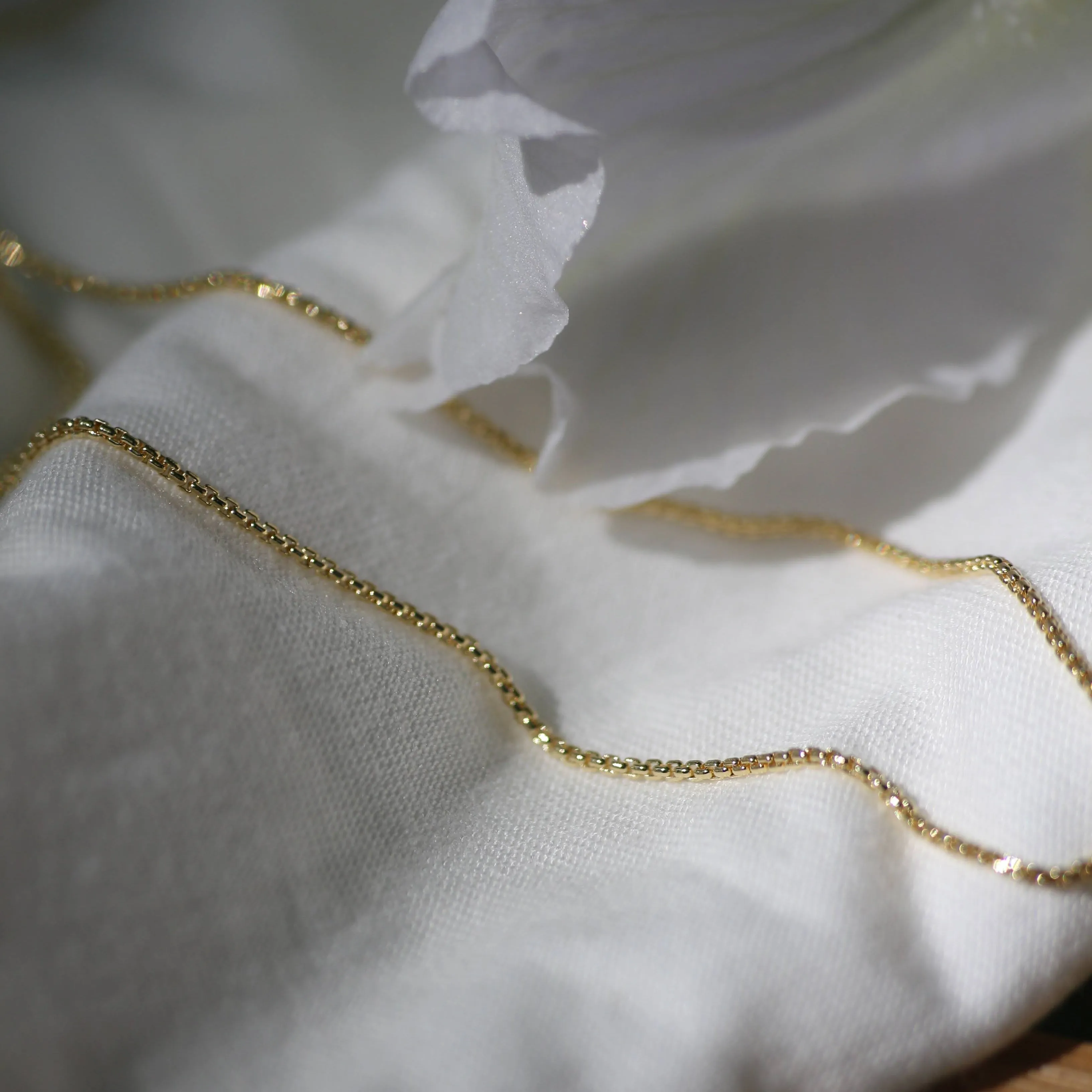 Box Chain sold by Vanderzee