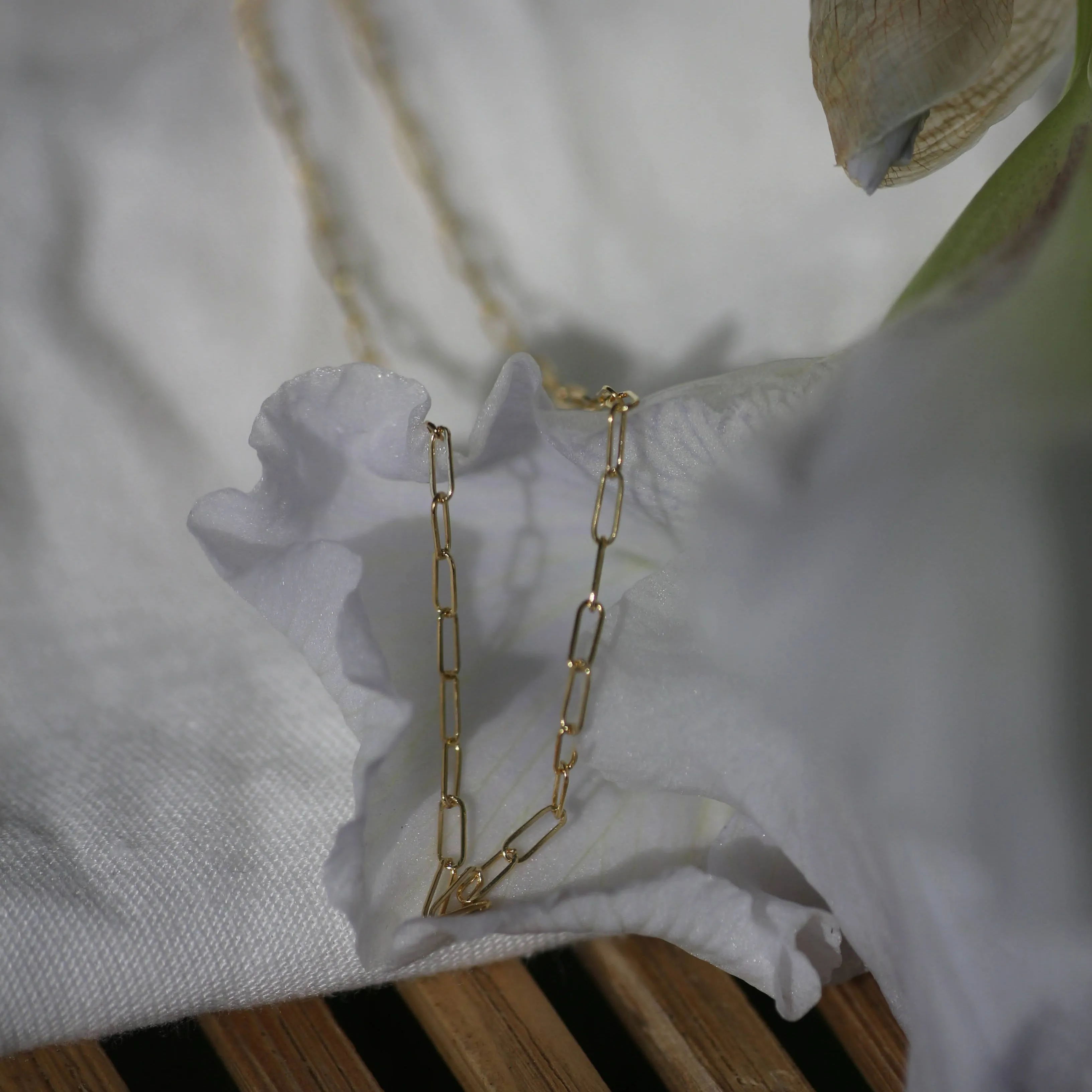 Link Chain sold by Vanderzee