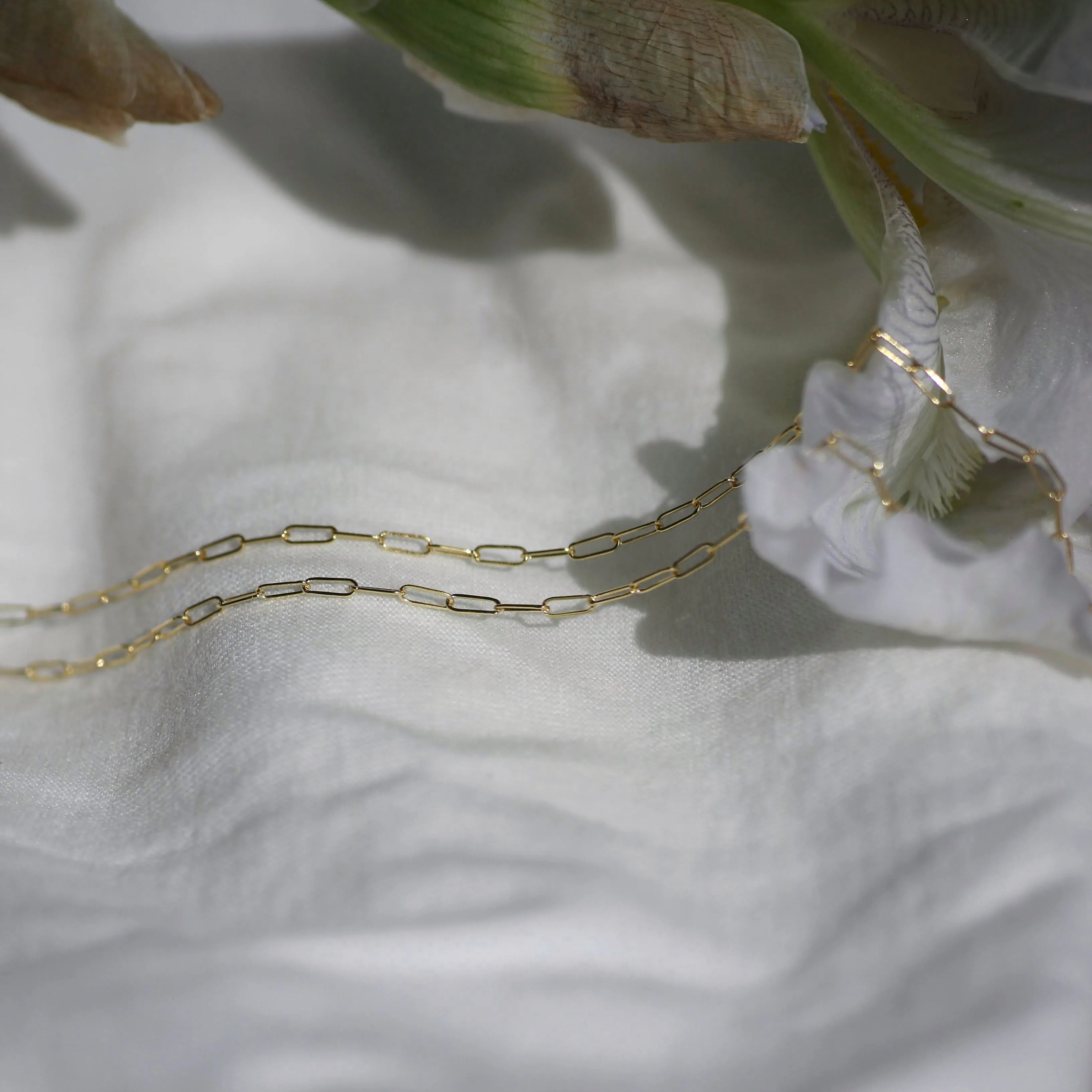 Link Chain sold by Vanderzee product image thumbnail 4