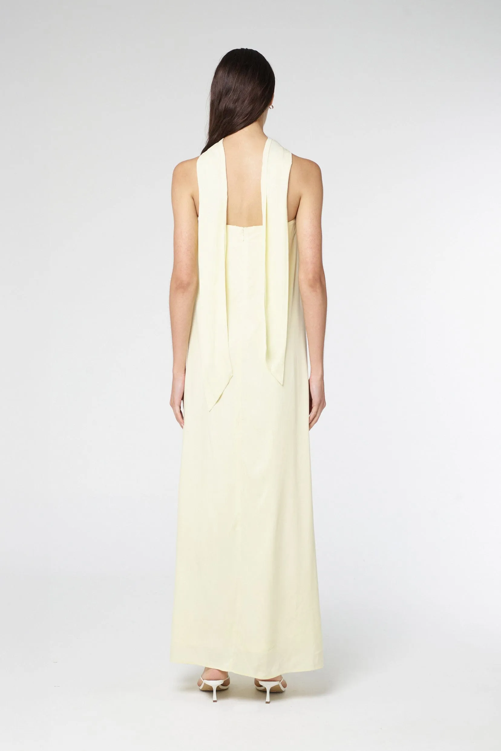 BIA STRAPLESS MAXI DRESS | SORBET sold by Third Form product image thumbnail 4
