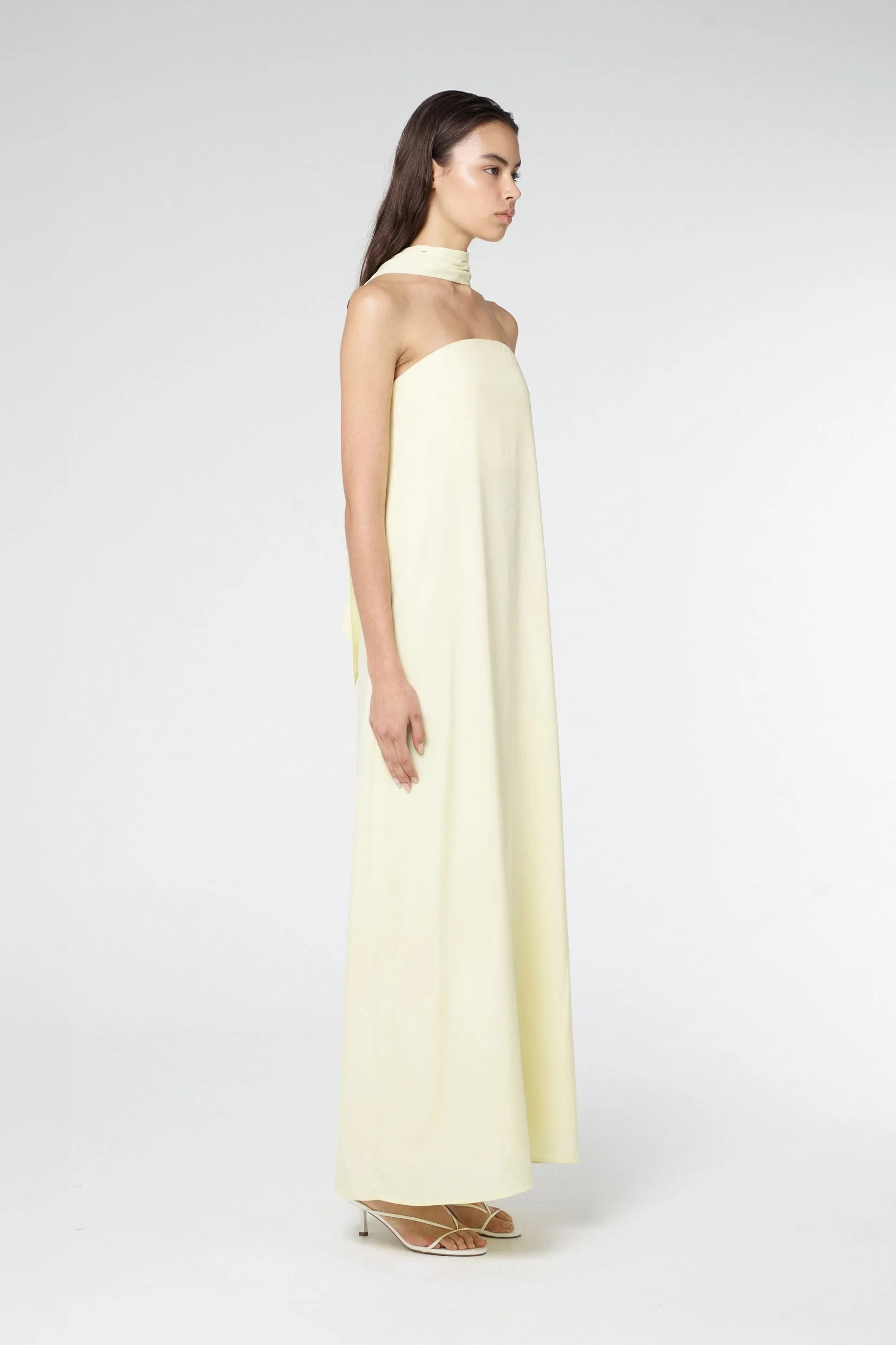 BIA STRAPLESS MAXI DRESS | SORBET sold by Third Form product image thumbnail 3