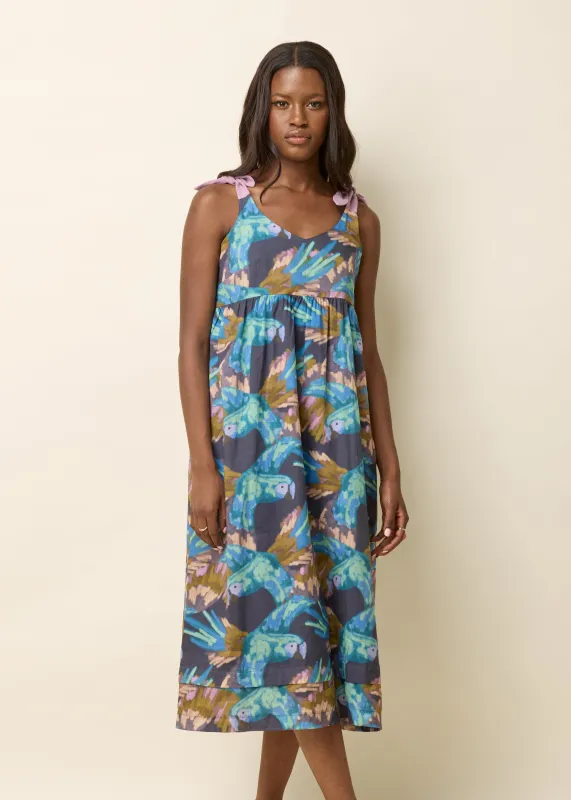 AMY Dress - Blue Ara sold by Cokluch