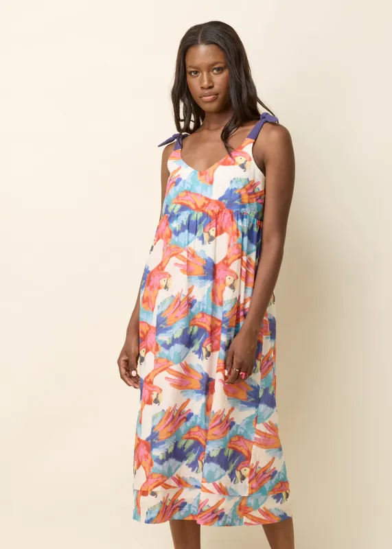 AMY Dress - White Ara sold by Cokluch