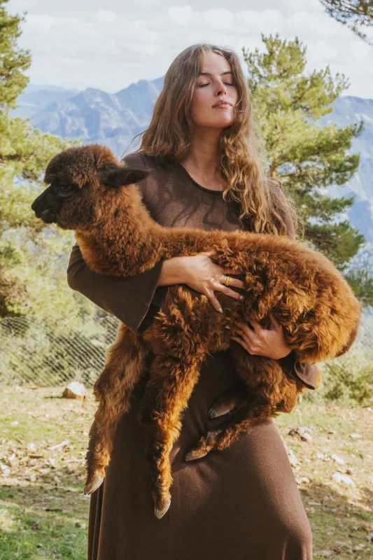 ISABELLA DRESS // BROWN made by La comet