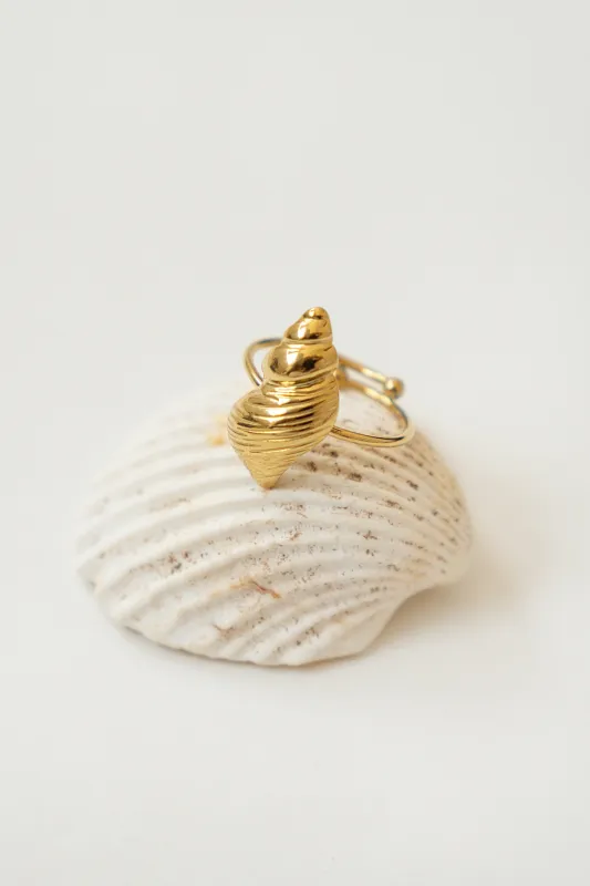SPIRAL SHELL RING made by La comet