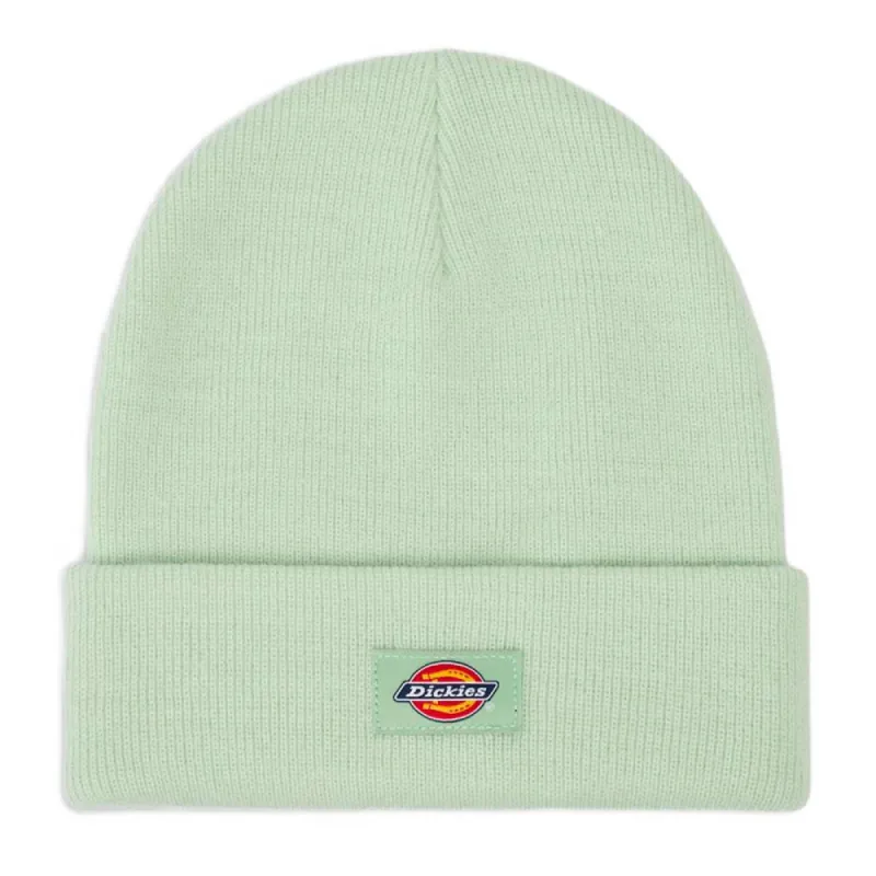 Dickies Gibsland Beanie - Quiet Green sold by Source Skate Co.