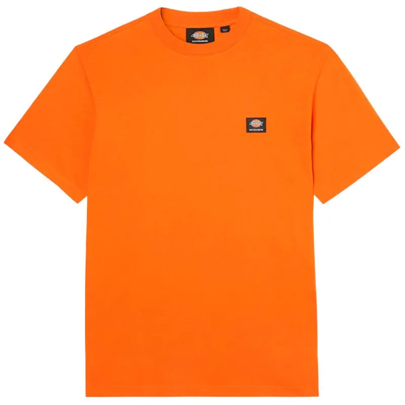 Dickies Mount Vista T-Shirt - Burnt Orange made by Dickies