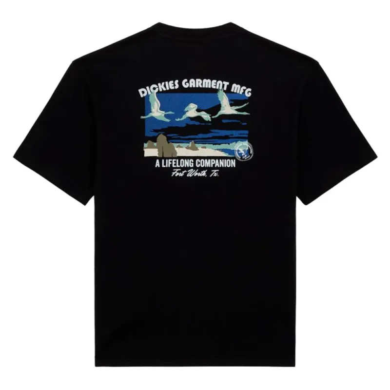 Dickies Companion T-shirt - Black sold by Source Skate Co.