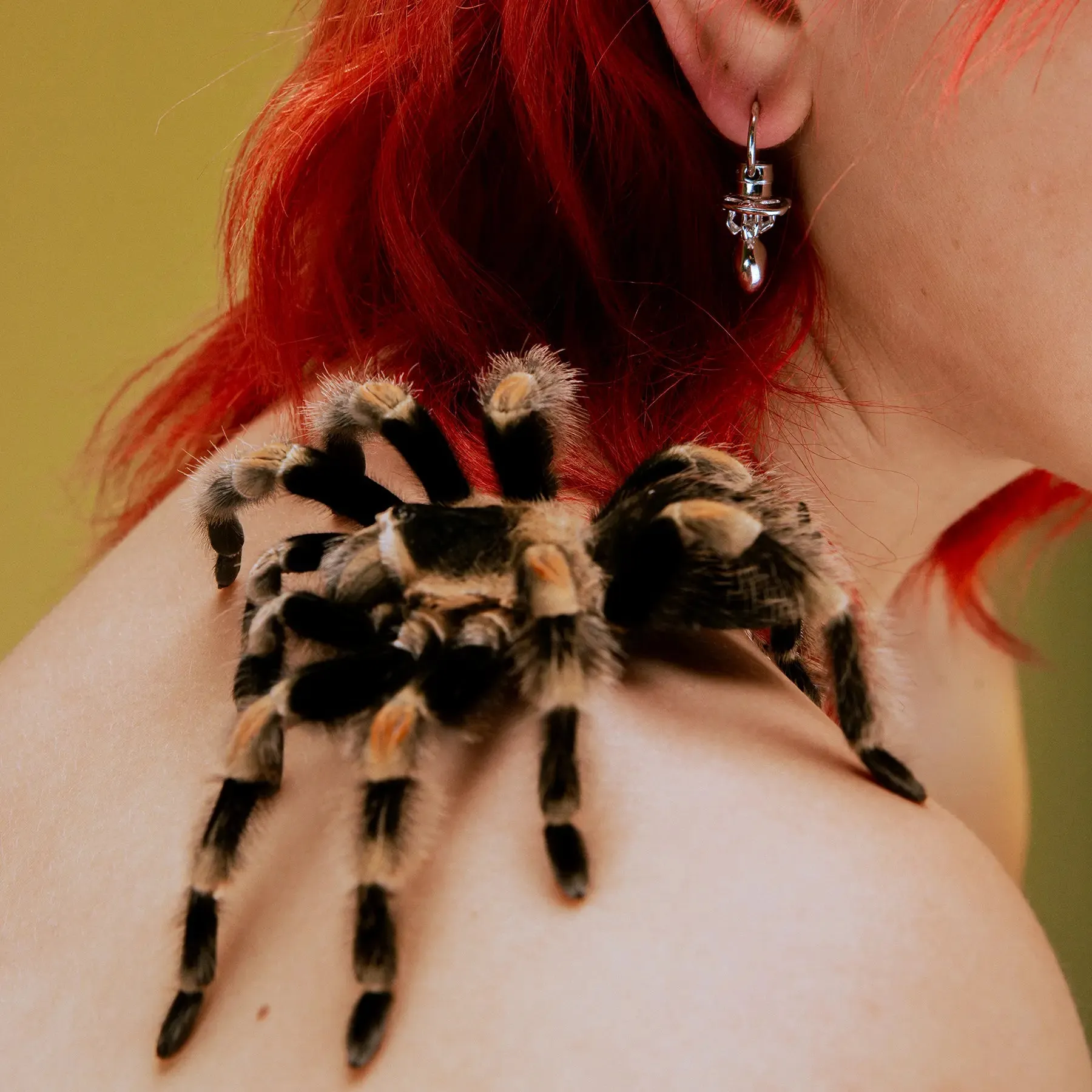SPIDER PACIFIER EARRING sold by Hard Jewelry product image thumbnail 4
