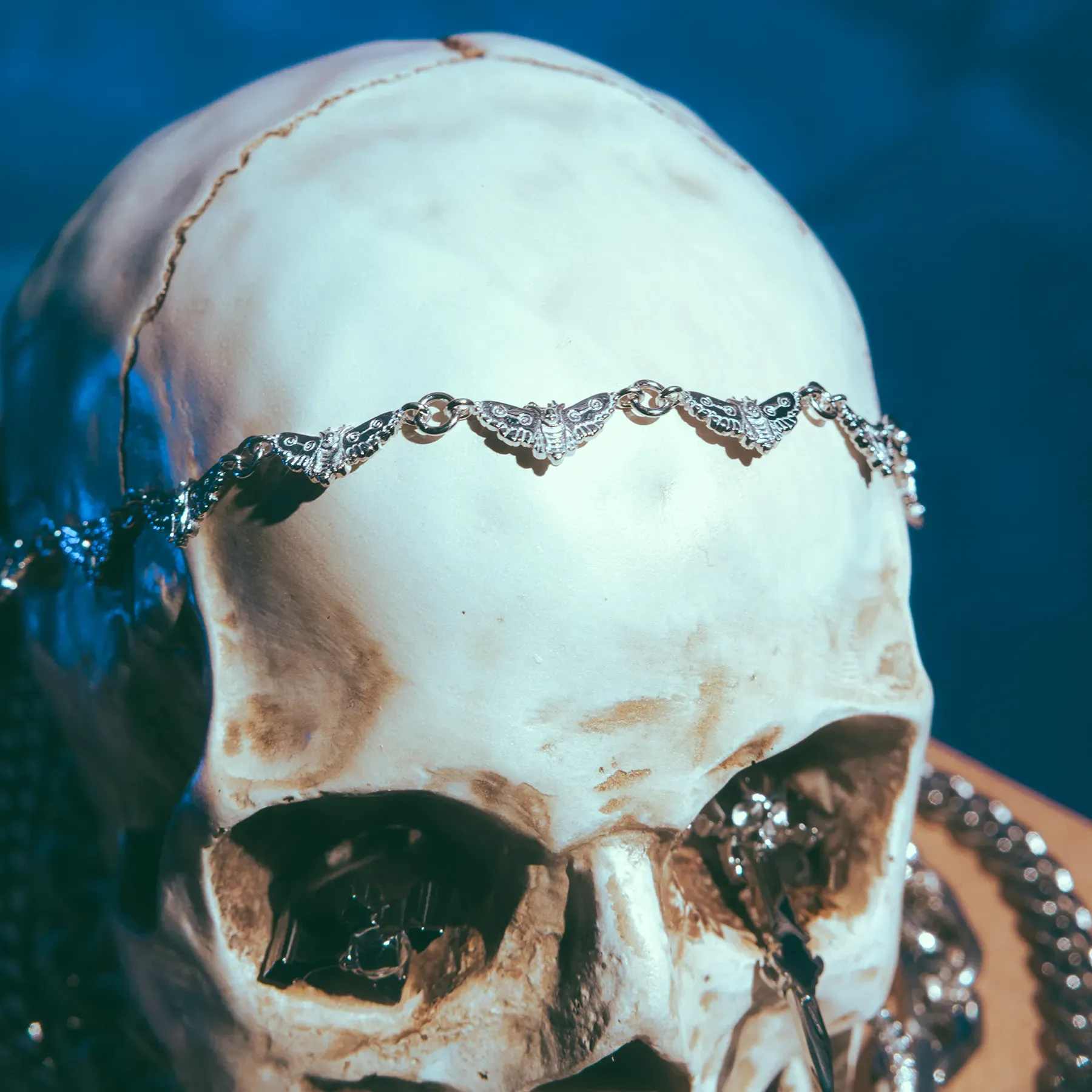 MOTH CHOKER sold by Hard Jewelry product image thumbnail 4