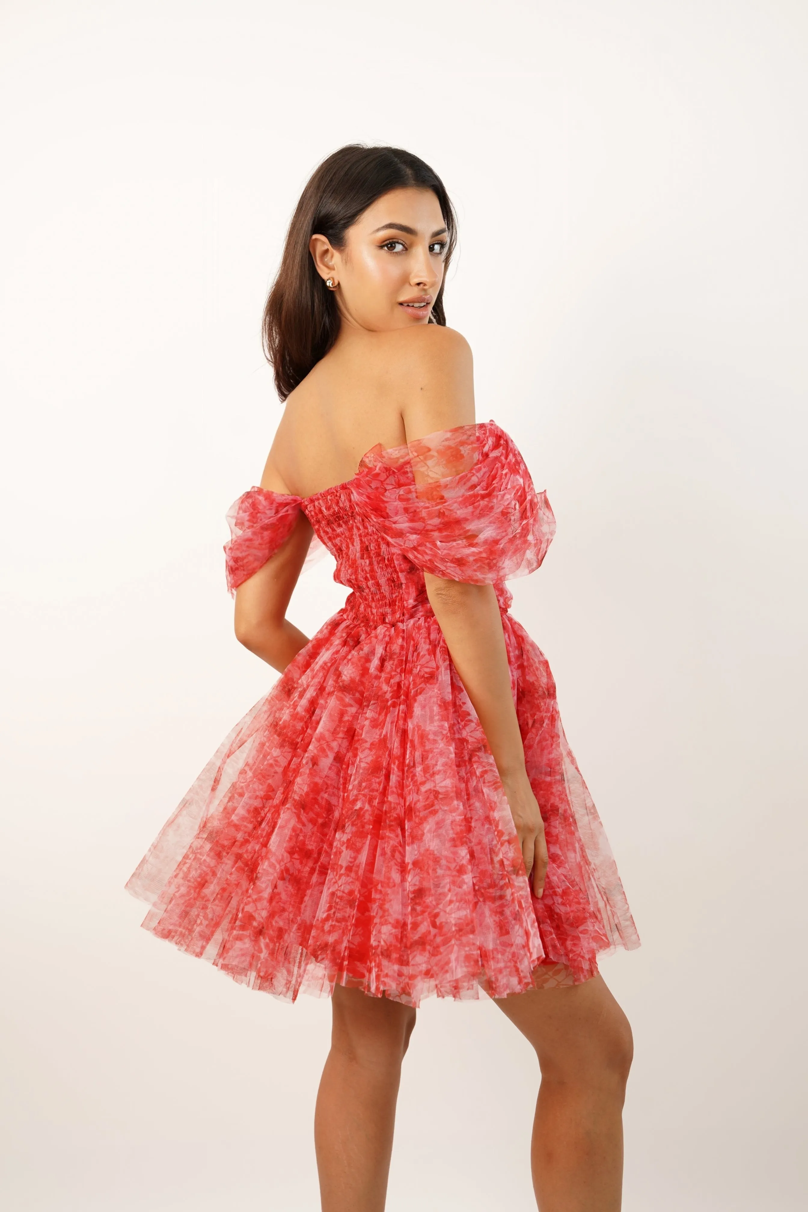 Sydney Red Printed Tulle Mini Dress sold by Lace & Beads product image thumbnail 2