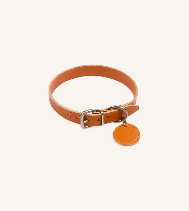 Il Bisonte Caramel Leather Dog Collar made by Drake's London