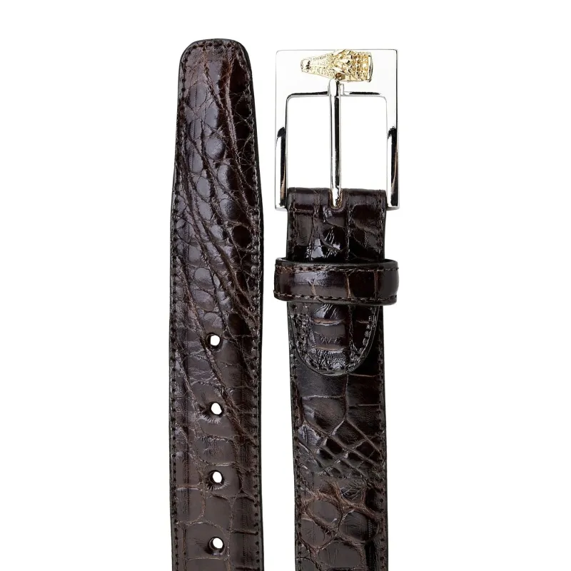 Mens Belvedere Alligator Dress Belt in Brown sold by Alberto Nardoni