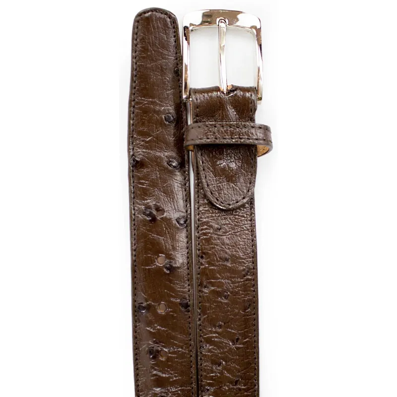 Mens Belvedere Ostrich Quill Dress Belt in Brown sold by Alberto Nardoni