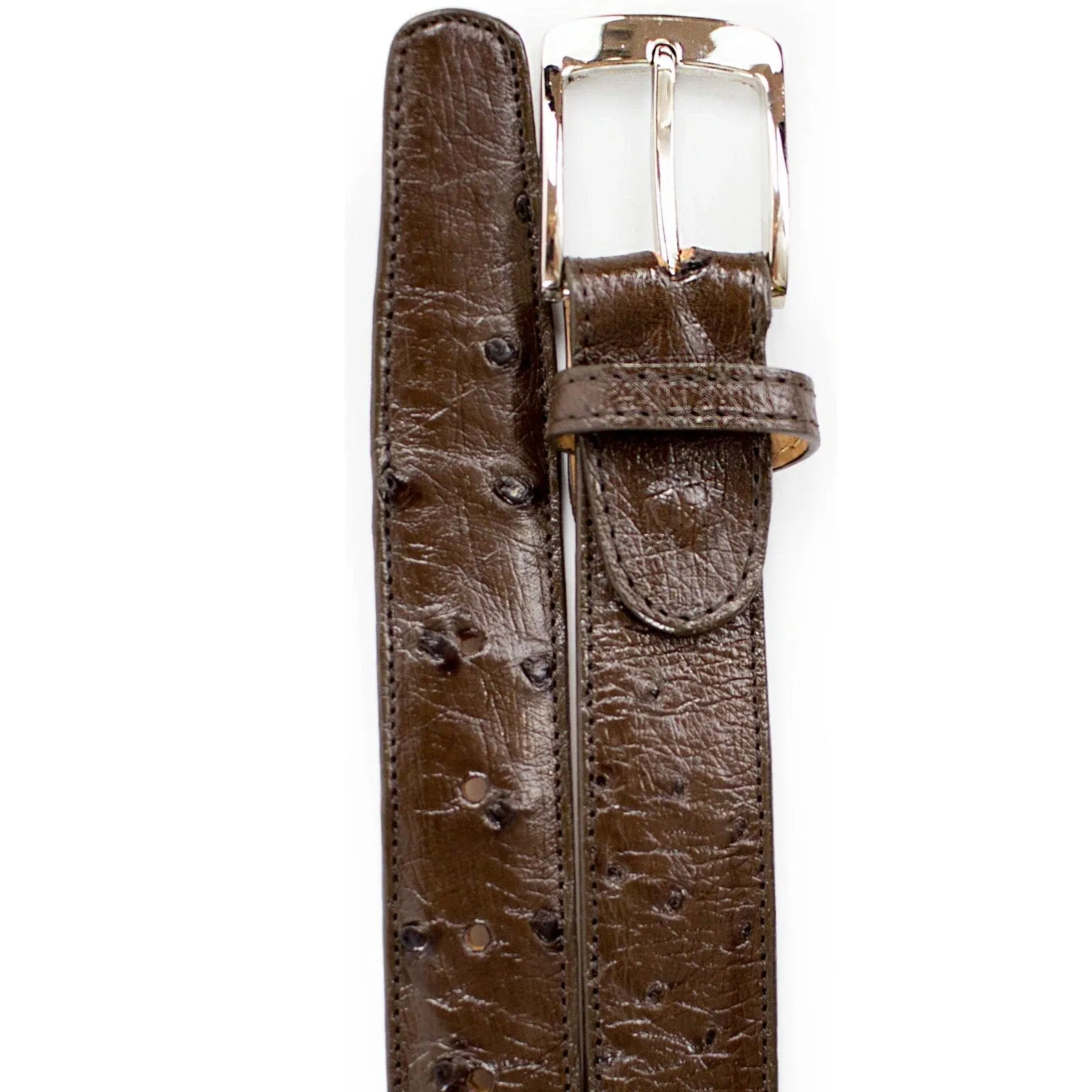 Men's Belvedere Genuine Ostrich Quill Dress Belt in Brown sold by Alberto Nardoni