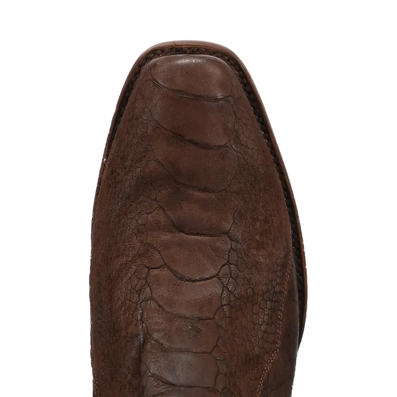 Dan Post Men's Anders Ostrich Leg Boots sold by Alberto Nardoni product image thumbnail 3