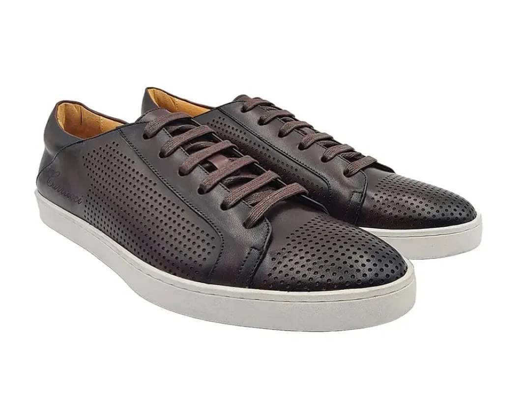 Fashion Lace-up Leather Sneaker sold by Alberto Nardoni
