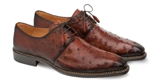 Tillson Ostrich Brandy By Mezlan Made In Spain Brand sold by Alberto Nardoni product image thumbnail 2