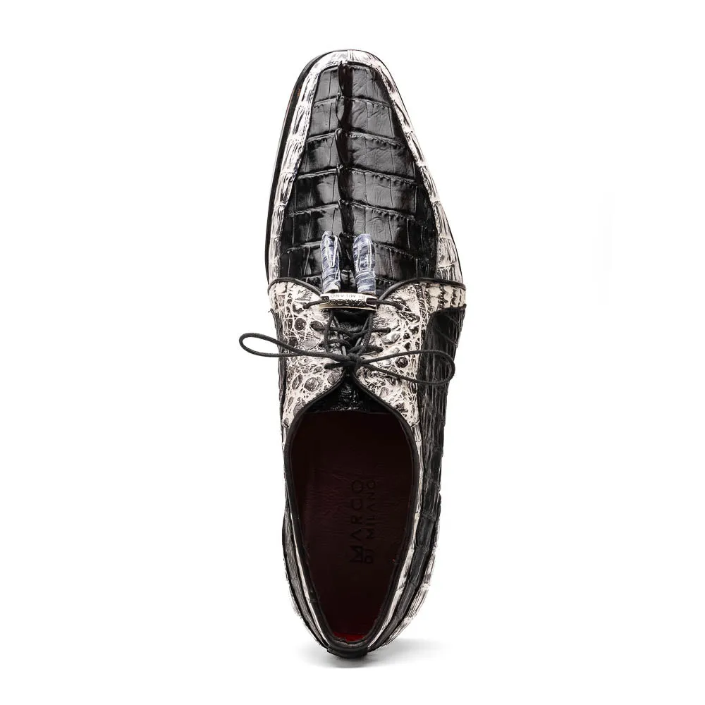 Marco Di Milano Caribe Newspaper / Black Caiman Crocodile Derby Shoes sold by Alberto Nardoni product image thumbnail 4