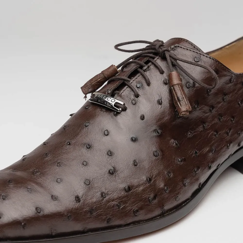 Marco Di Milano Criss Brown Ostrich Quill Dress Shoe Oxfords sold by Alberto Nardoni product image thumbnail 4