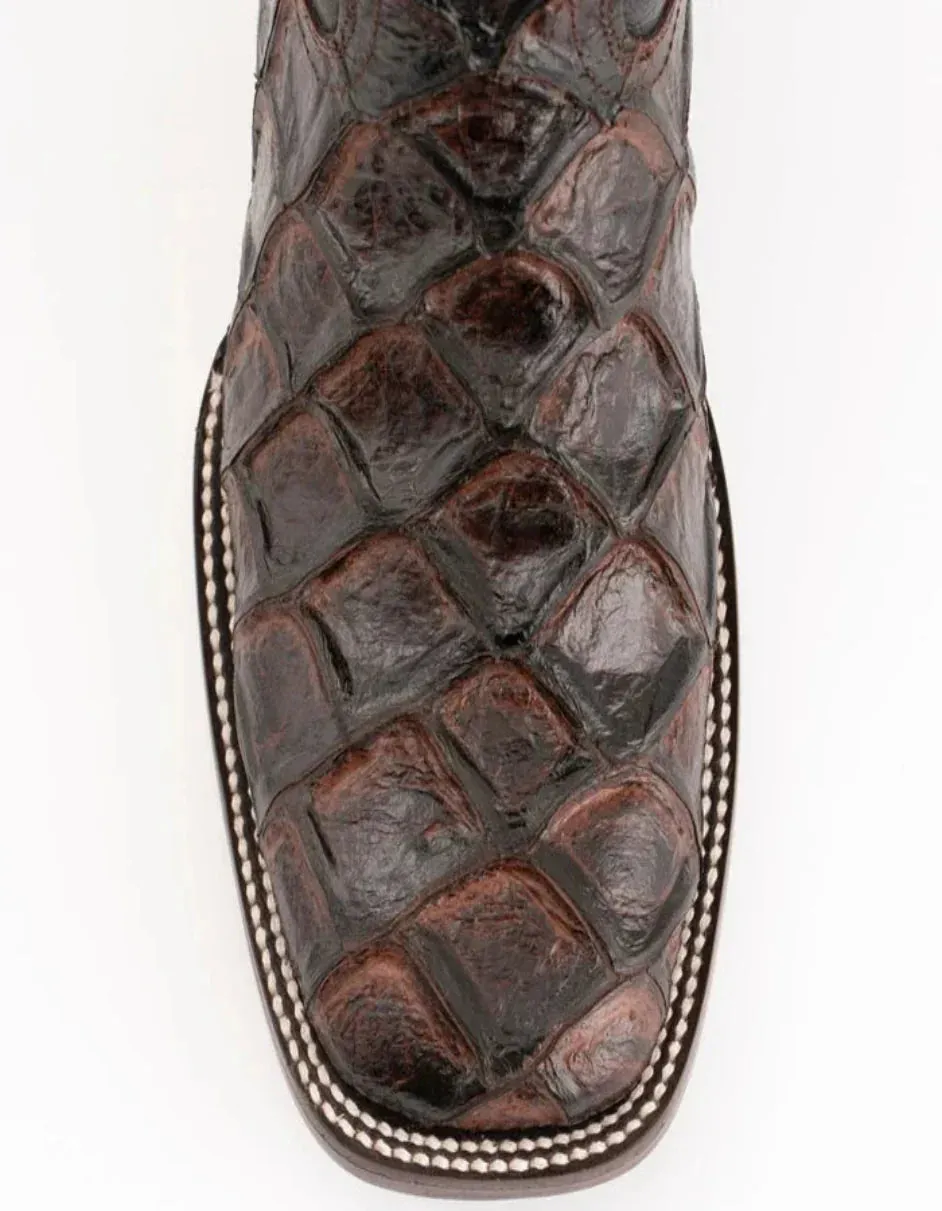 Ferrini Women's Bronco Square Toe Boots Pirarucu Fish Print - Chocolate sold by Alberto Nardoni product image thumbnail 2