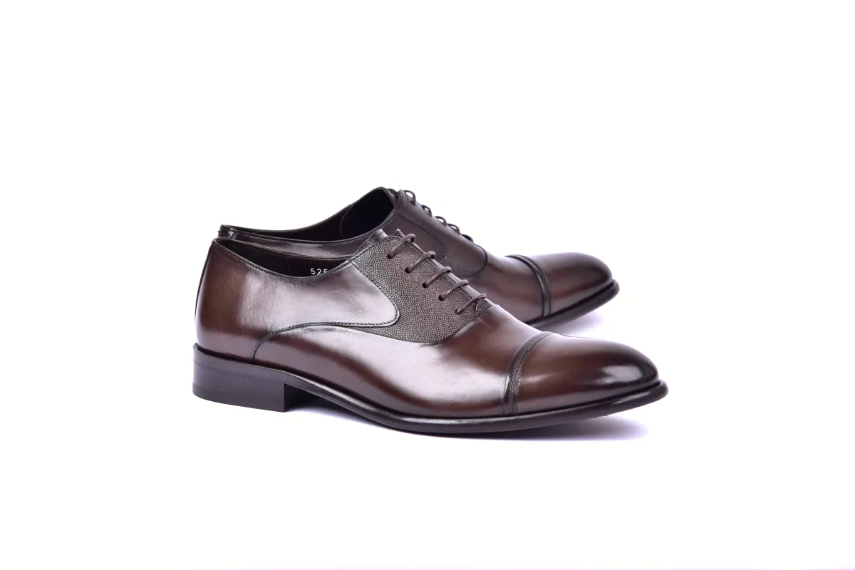 C001201-5256 Cap toe Lace up- Brown sold by Alberto Nardoni