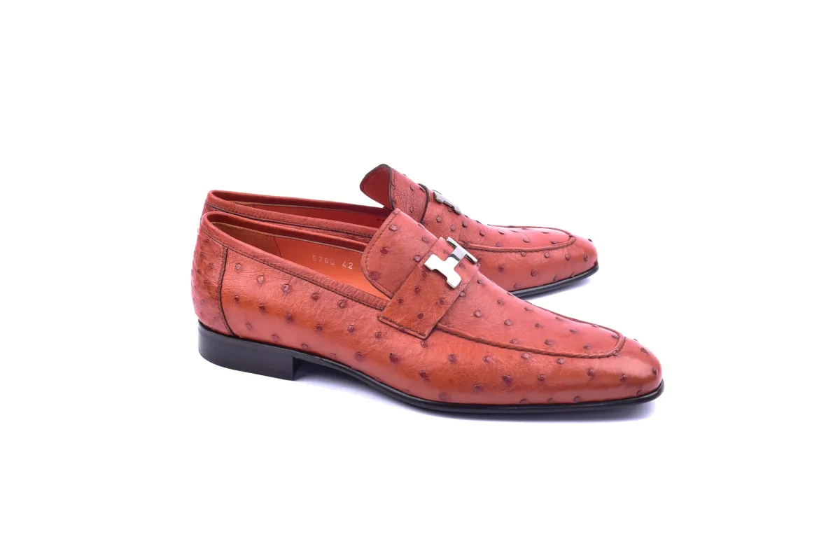 C02008-5760 H buckle -Orange Ostrich sold by Alberto Nardoni
