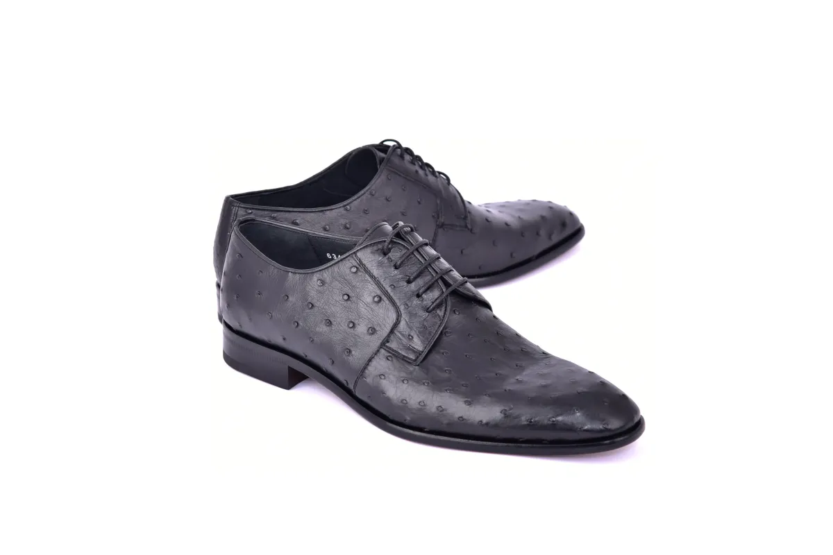 C01502-6348 Genuine Ostrich Black Lace up sold by Alberto Nardoni