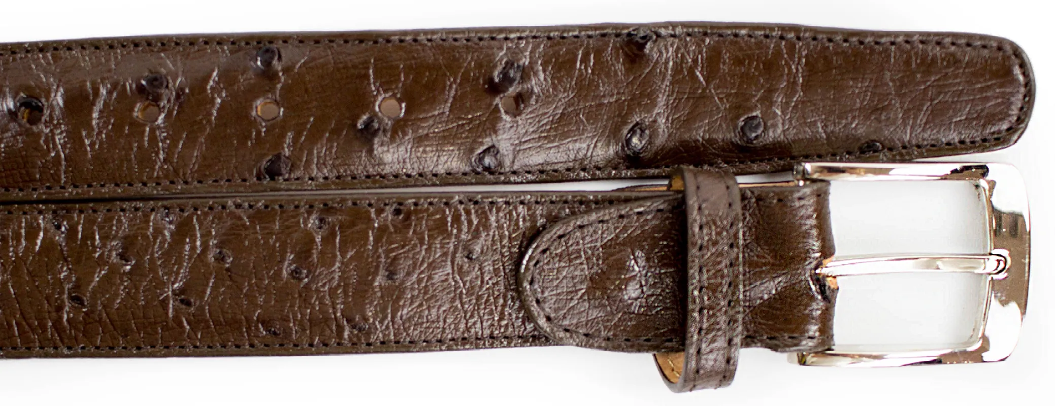 Belvedere Ostrich Quill Belt - Tabac Brown Luxury Shoe made by Alberto Nardoni