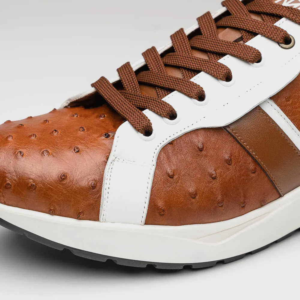 Marco Di Milano Lyon II Brandy / White sold by Alberto Nardoni product image thumbnail 3