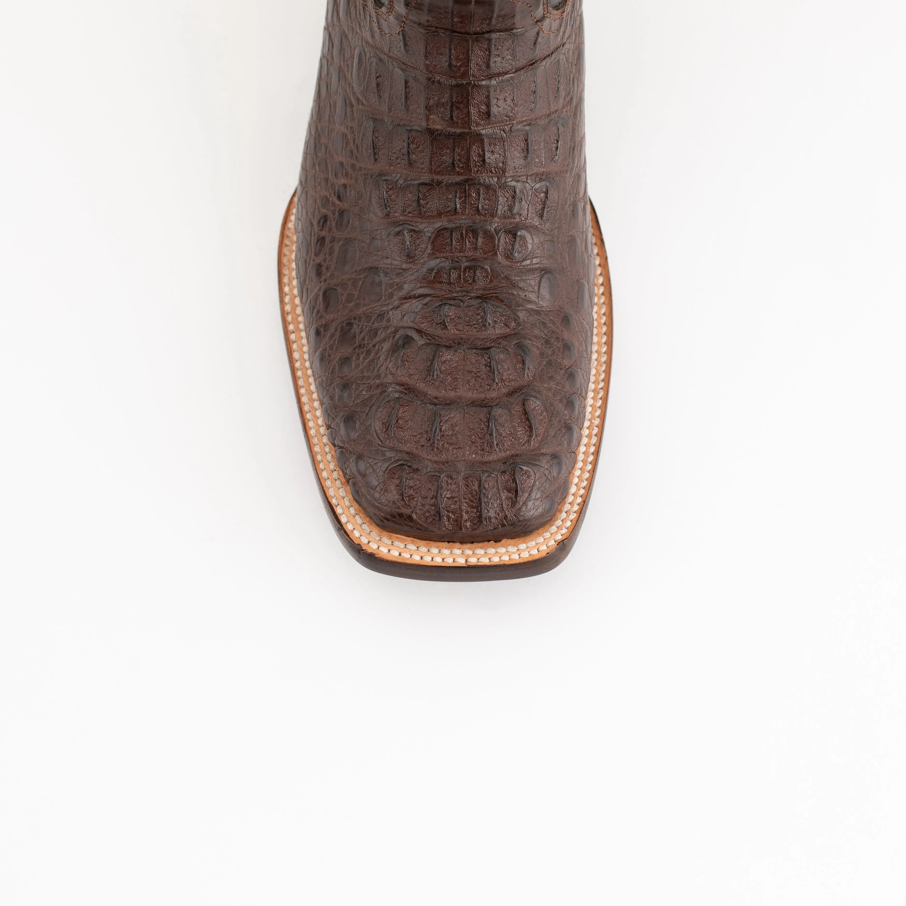 Ferrini Hornback Caiman Dakota sold by Alberto Nardoni product image thumbnail 2
