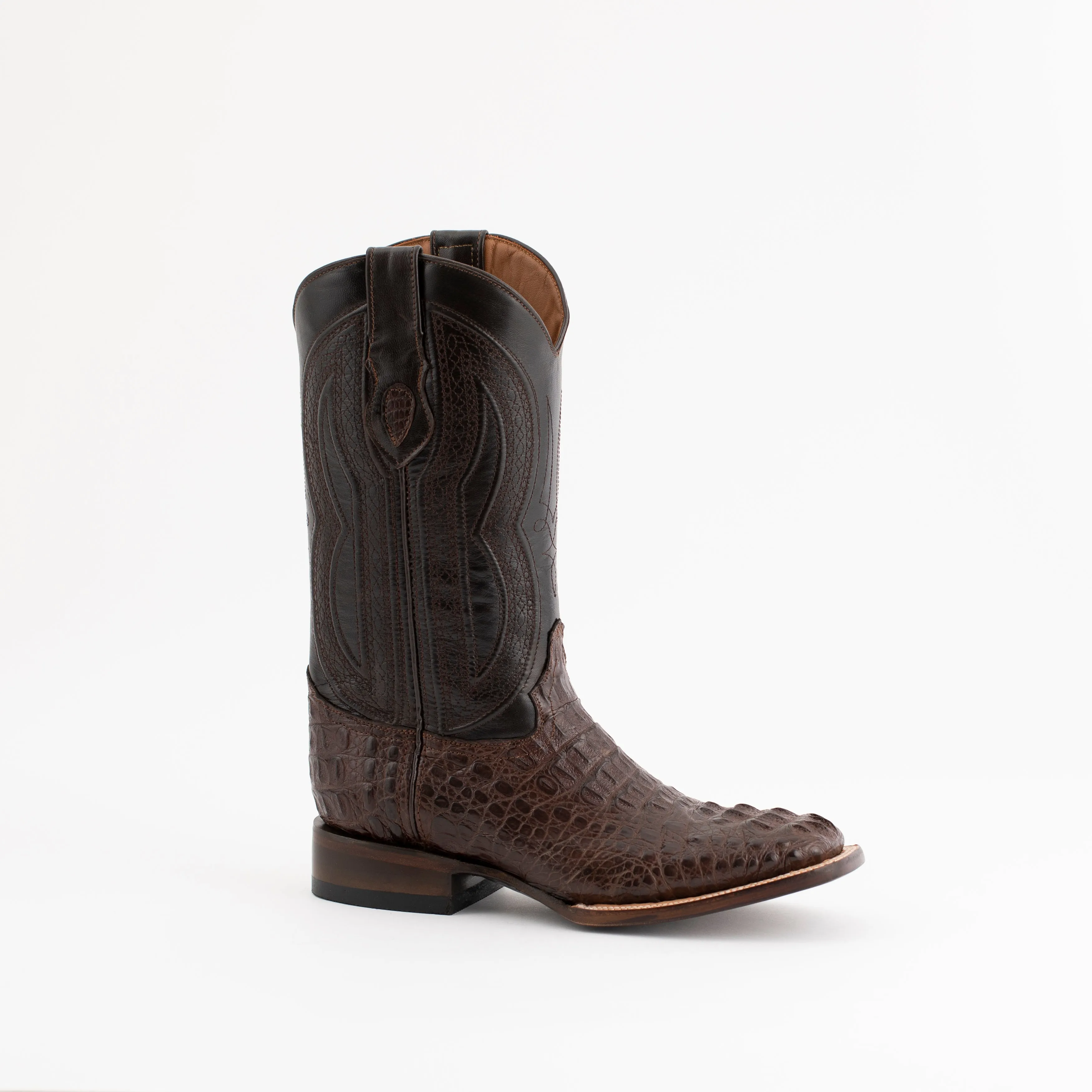 Ferrini Hornback Caiman Dakota sold by Alberto Nardoni