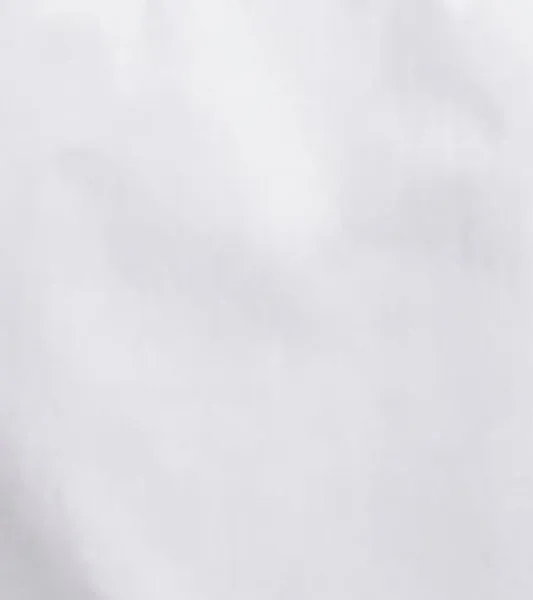 CARSON DRESS SHIRT Point Collar sold by Alberto Nardoni product image thumbnail 4