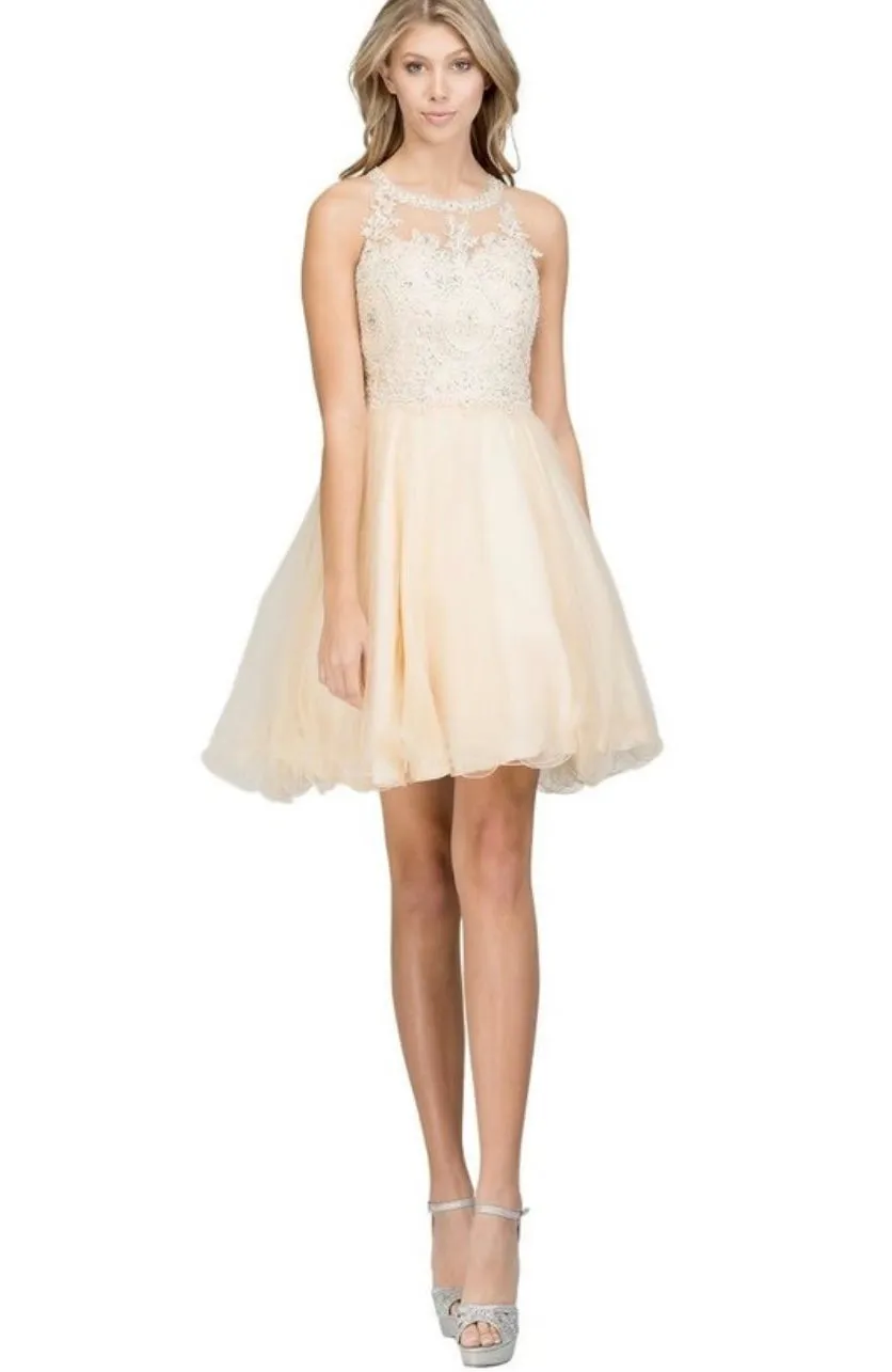 Chicas DM4002 Elegant Formal Halter Short Appliqué Style Tulle Dress sold by Alberto Nardoni product image thumbnail 5