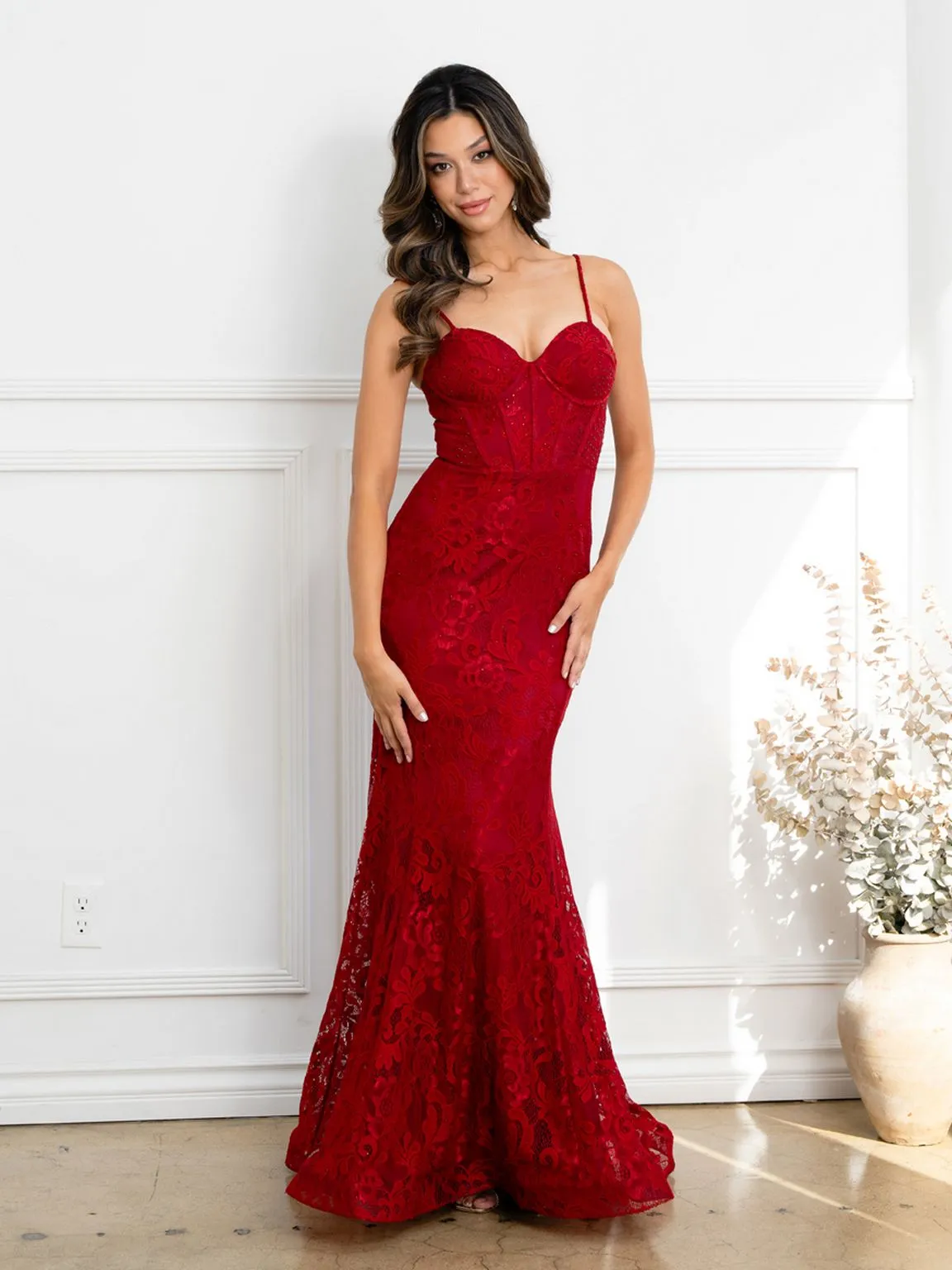 Eva USA EV5277 Structured Corset Lace Overlay Evening Dress sold by Alberto Nardoni product image thumbnail 5