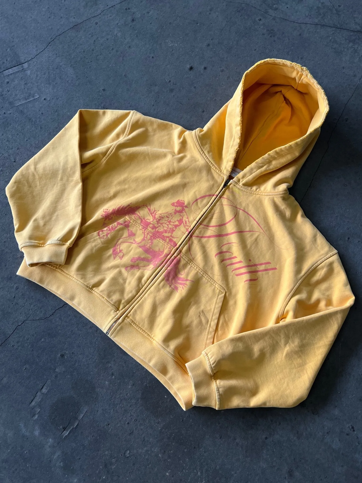 HORSE POWER ZIP UP sold by Prayers Avenue product image thumbnail 4