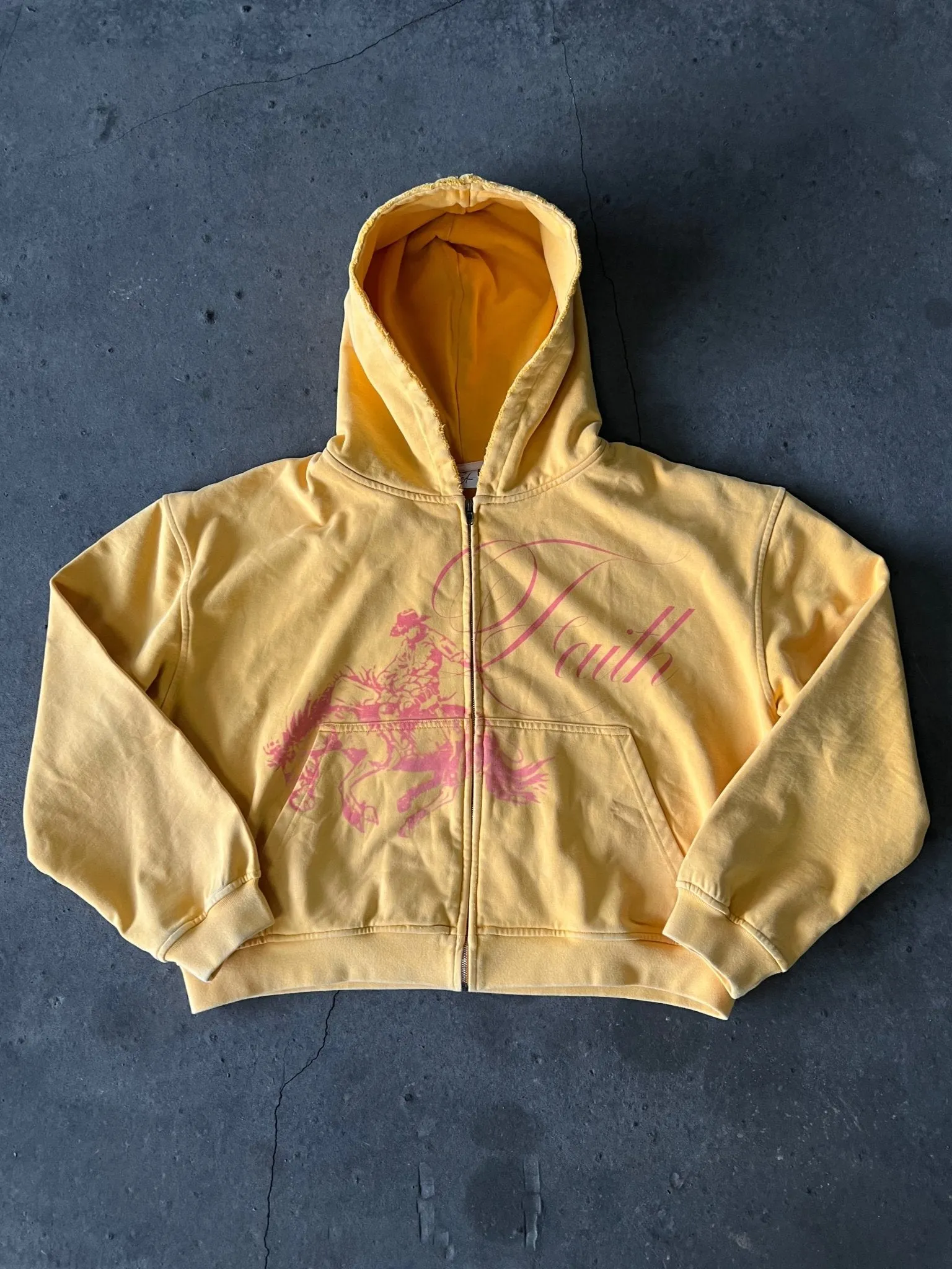 HORSE POWER ZIP UP sold by Prayers Avenue product image thumbnail 3