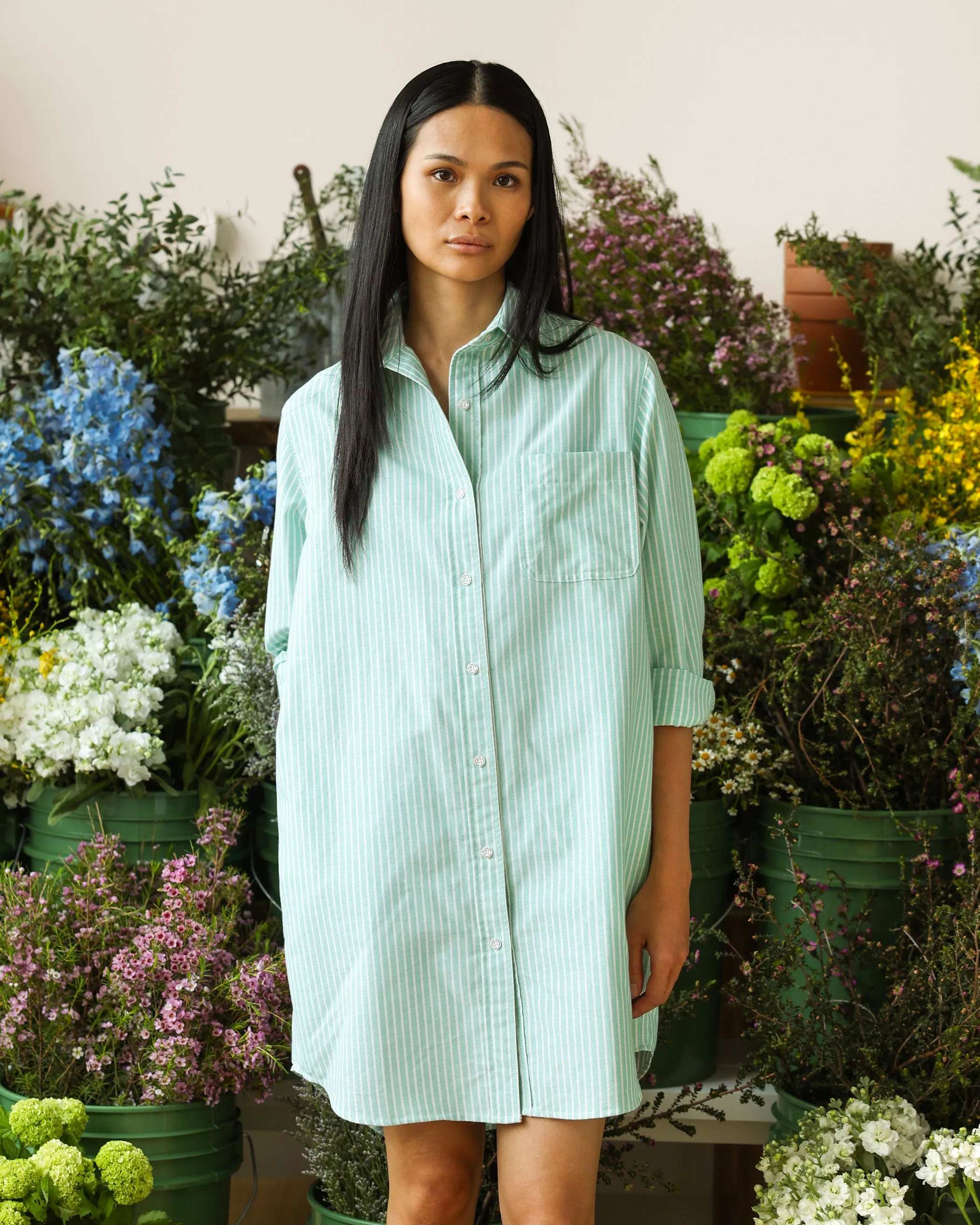 Oxford Wide Stripe Dress Green sold by Province of Canada product image thumbnail 2