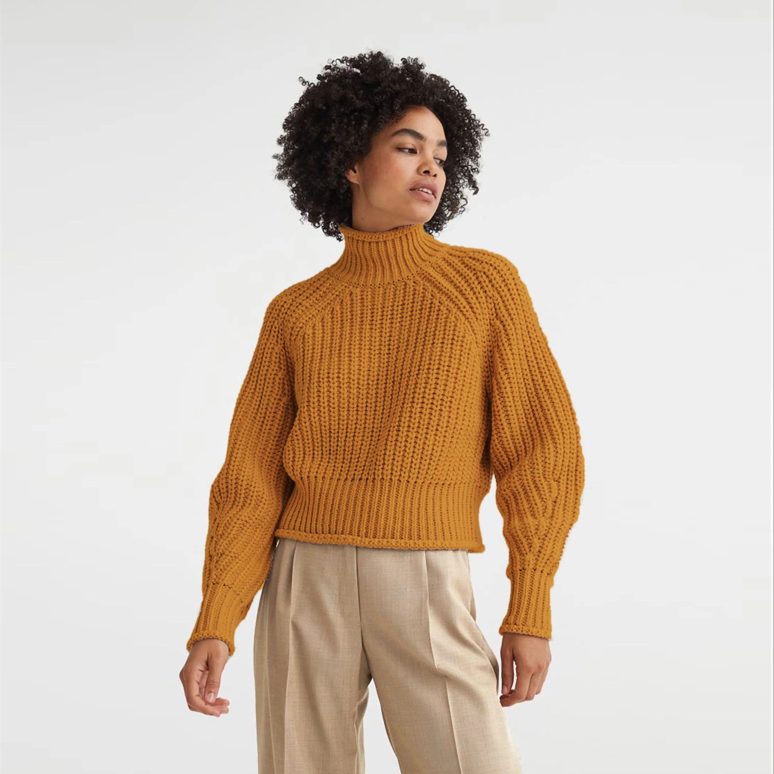 h&m mock neck chunky turtleneck sold by Good Market Thrift Store product image thumbnail 3