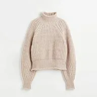 h&m mock neck chunky turtleneck sold by Good Market Thrift Store