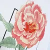 shawn mendes 2019 the tour rose tee sold by Good Market Thrift Store