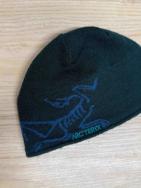 arcteryx bird head merino wool-blend fleece lined beanie sold by Good Market Thrift Store