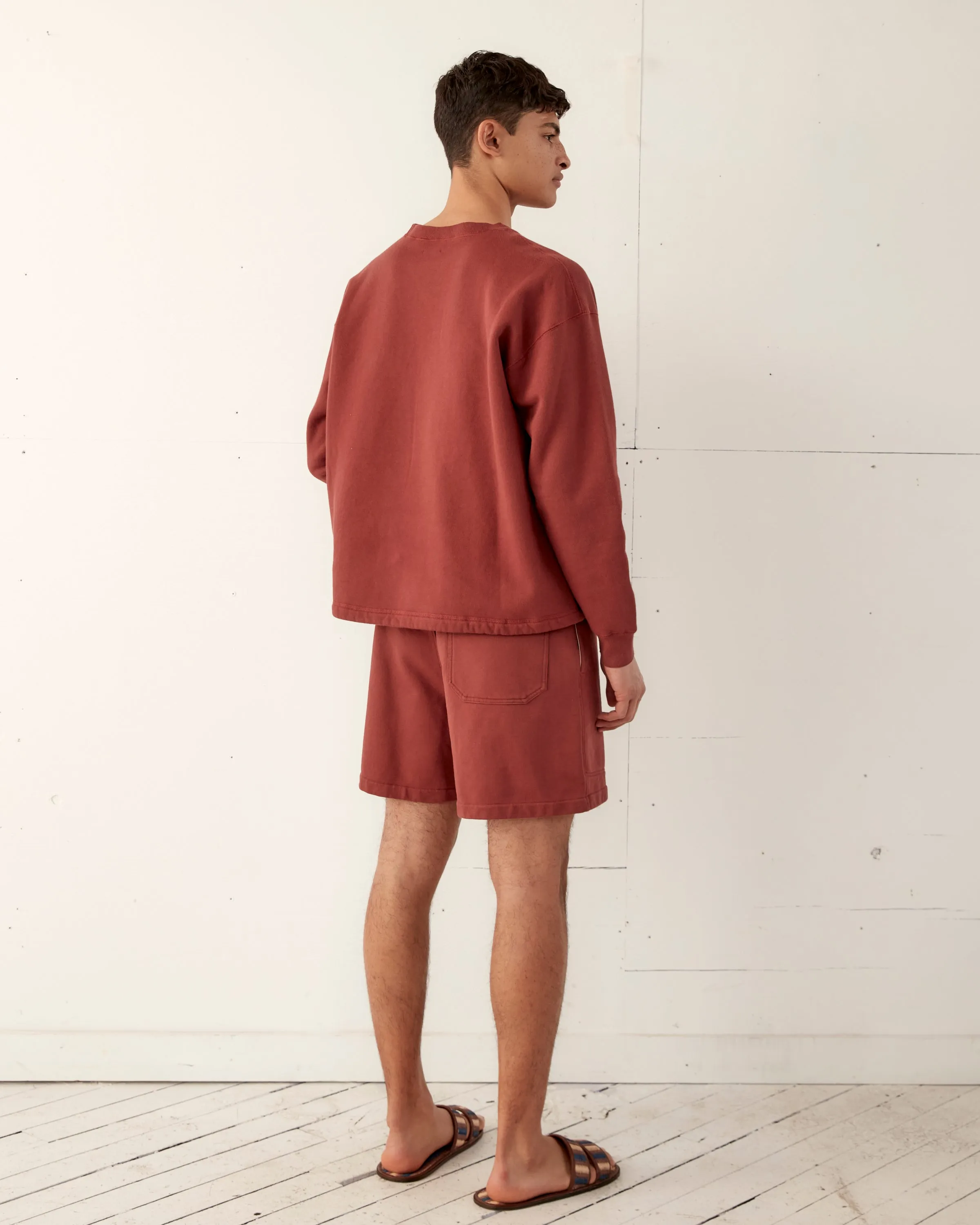 Embroidered Pony Crewneck - Brown sold by BODE product image thumbnail 4