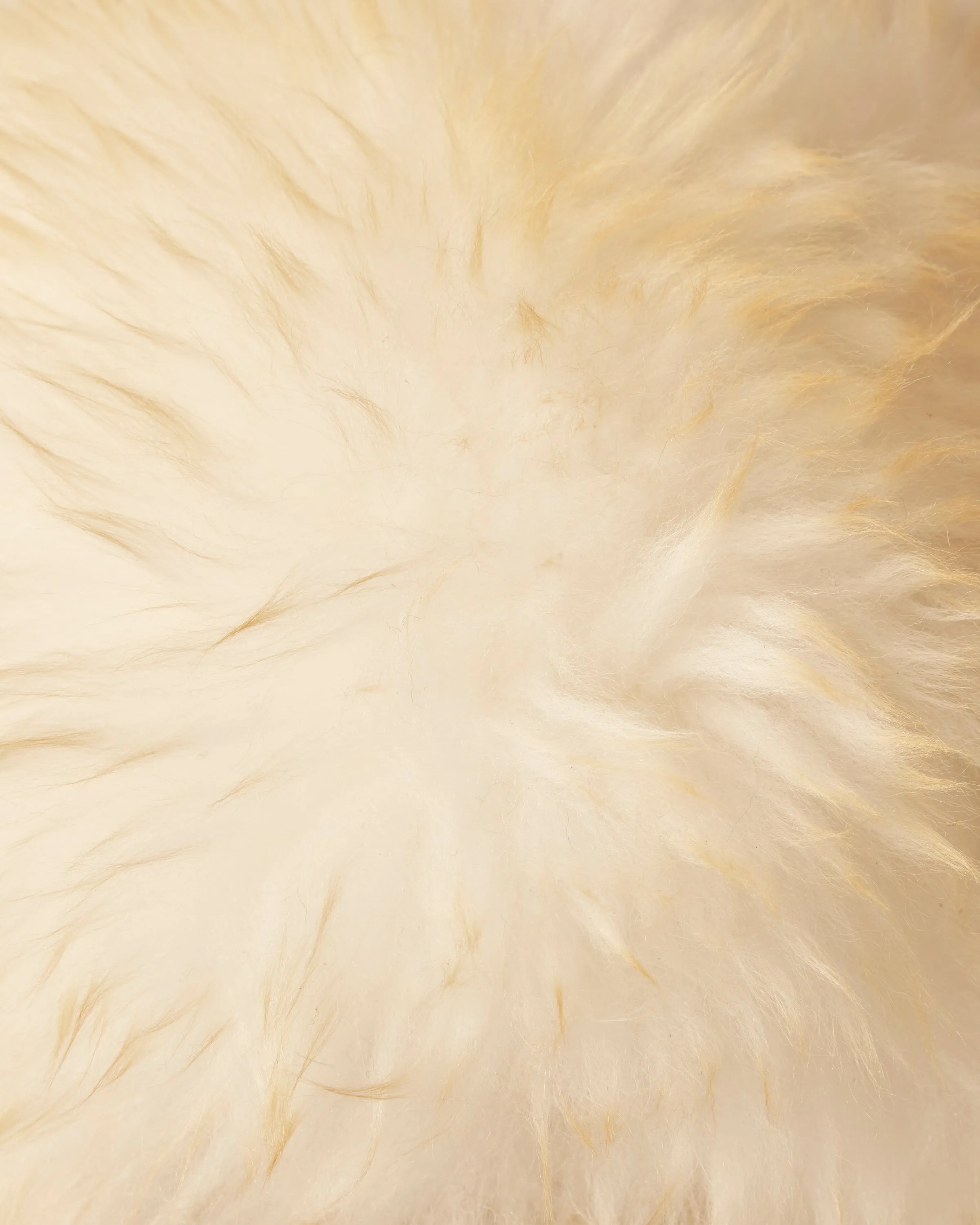 Winter Shearling Cap sold by BODE product image thumbnail 2