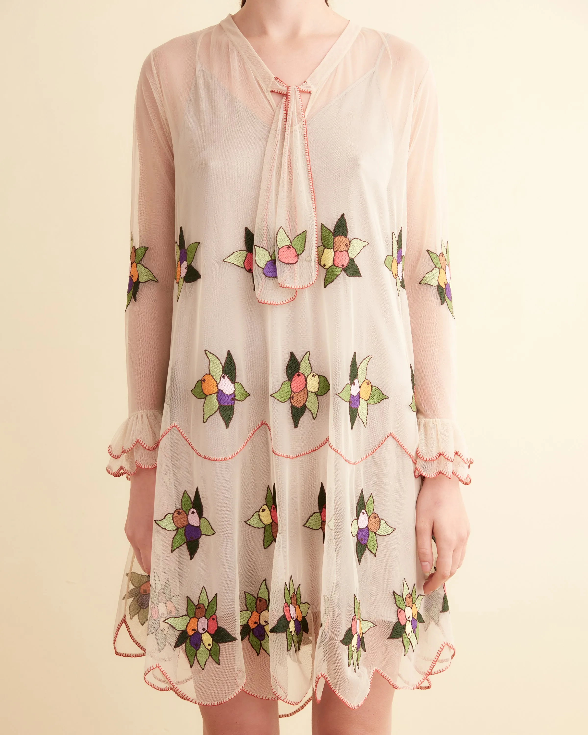Embroidered Suncherry Dress sold by BODE product image thumbnail 2