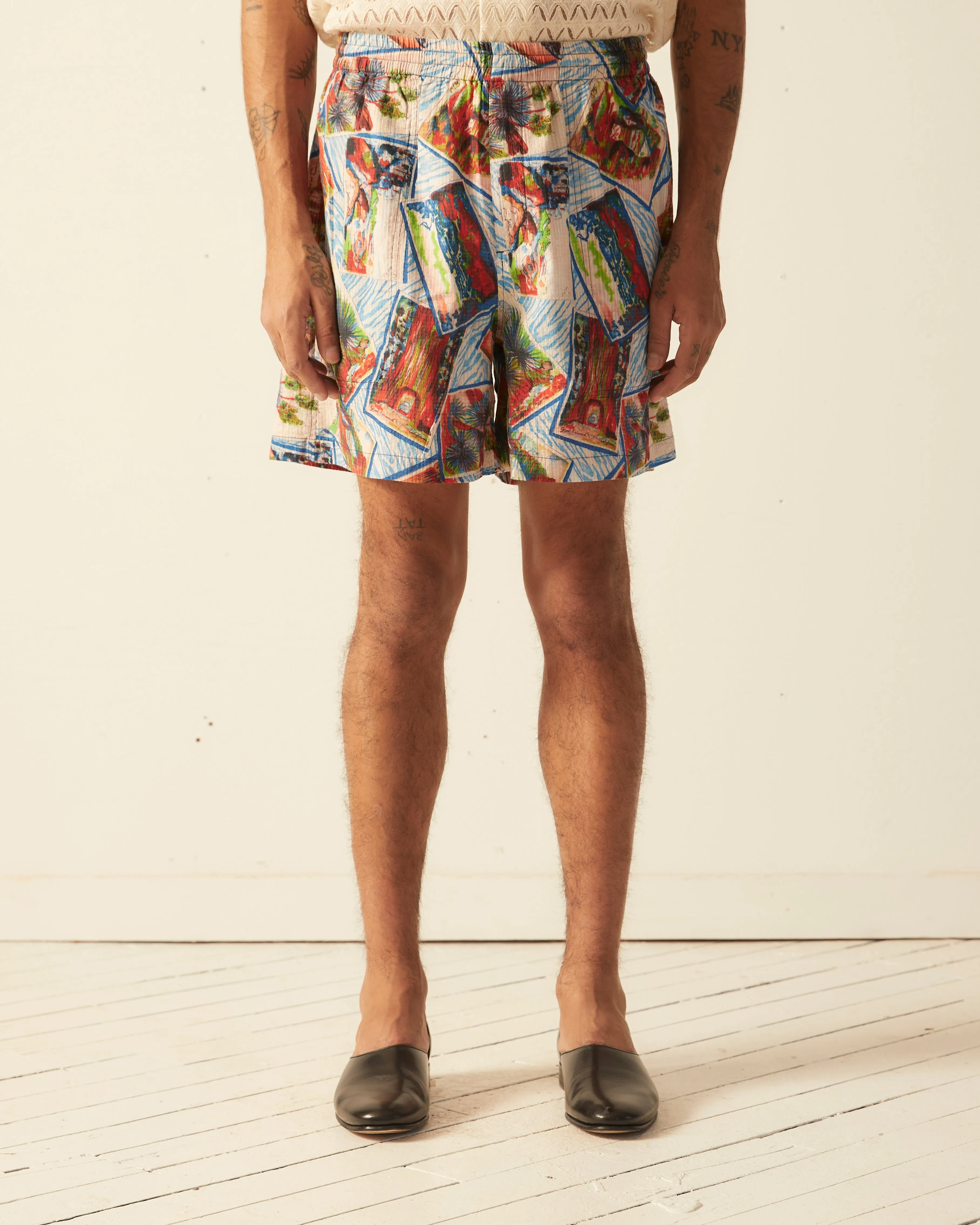 Seersucker Postcard Shorts sold by BODE product image thumbnail 2