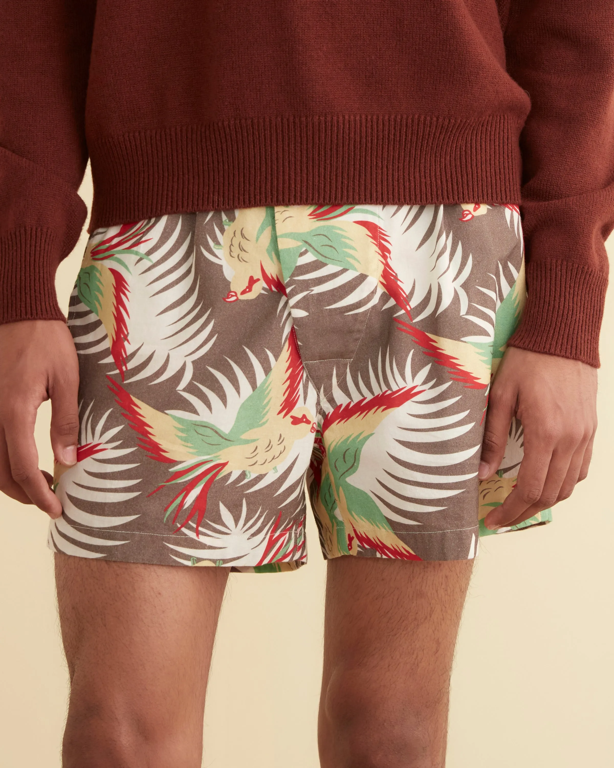 Sun Conure Boxers sold by BODE product image thumbnail 2