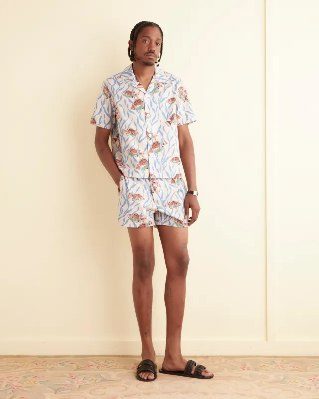 Swimmers Boxers sold by BODE