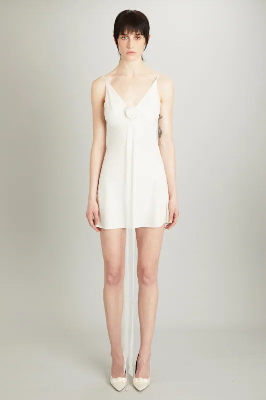 MINI POPSTAR DRESS sold by Wiederhoeft
