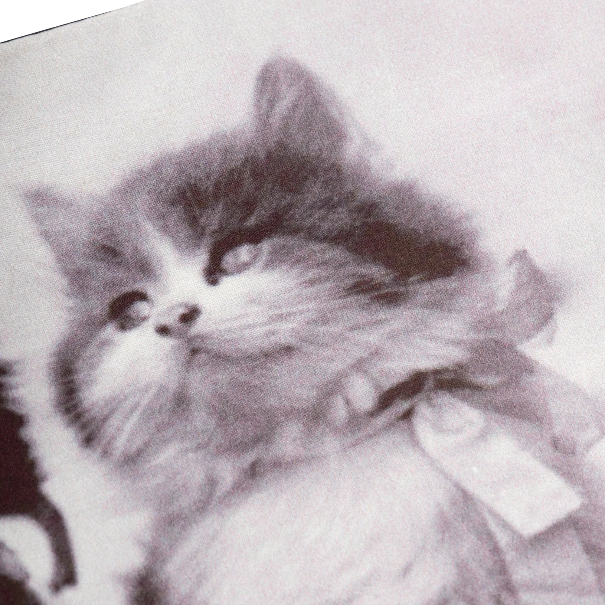 TWO KITTENS MINI SKIRT sold by Ashley Williams product image thumbnail 3